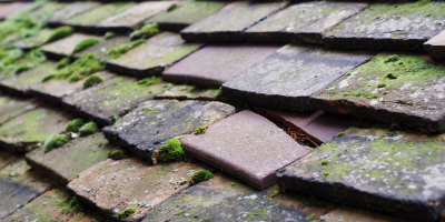 Allt roof repair costs